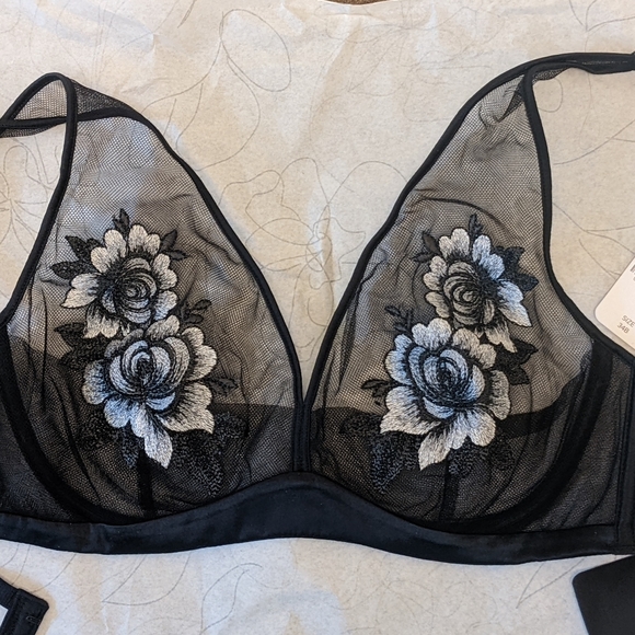 Understance Sheer Bra 34B - Picture 4 of 10